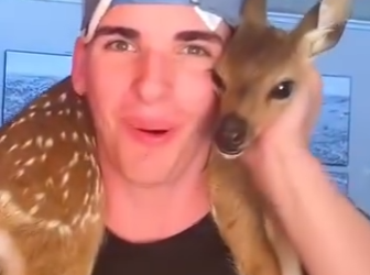 D0204002 A man adopts a baby deer that lost its mother and then (Part 2)