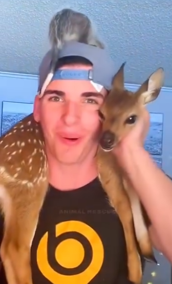 D0204002 A man adopts a baby deer that lost its mother and then (Part 2)