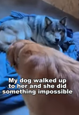 P2112003 A heart saved today (Part 2)