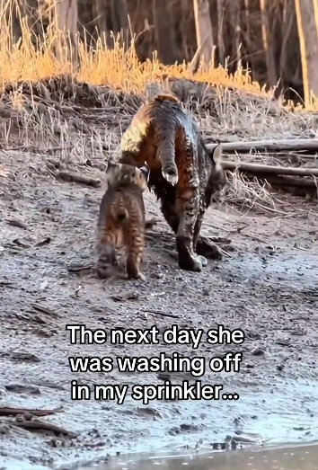 P3101005 Help found its way here (Part 2)