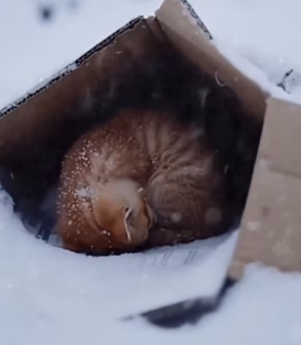 F1803006 Your silence hurt louder than words.Kamin – Emin & Jony (Part 2)