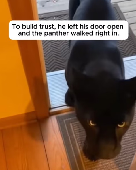 P2402003 Protection began with kindness (Part 2)