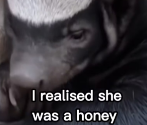 P0702006 Wait till end (Part 2)