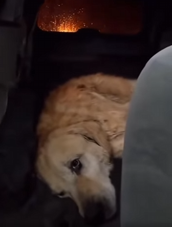 F2003003 He waited where they left him For days.. (Part 2)