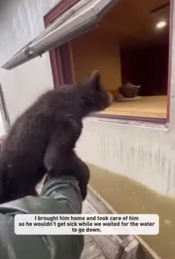 F2003012 The flood ripped his mother away (Part 2)