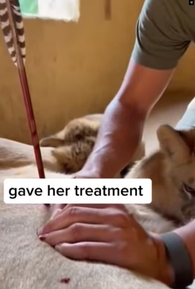 P1803007 Be the person your dog thinks you are (Part 2)