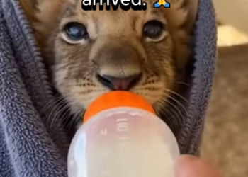 P1302011 This life was seen and protected (Part 2)