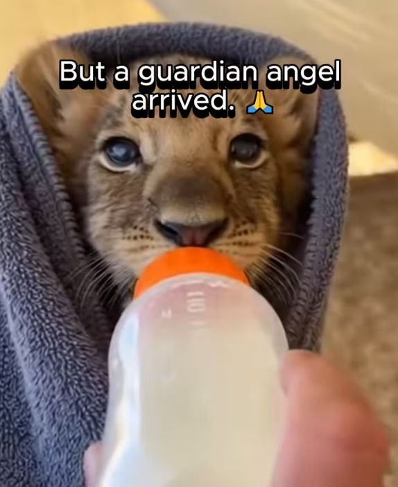 P1302011 This life was seen and protected (Part 2)