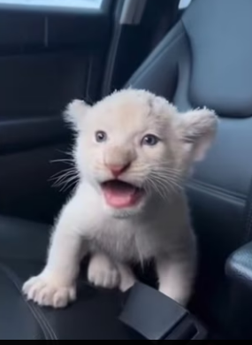 P2003008 He doesn’t need words to say thank you..I can feel it in every breath (Part 2)