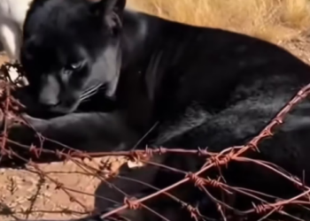 P2201001 Where help arrives, hope follows (Part 2)