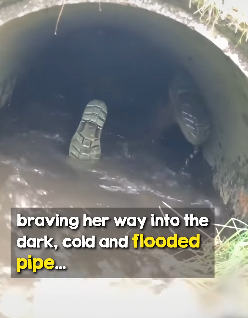 I1803012 She’s so brave ❤️❤️❤️ (Part 2)