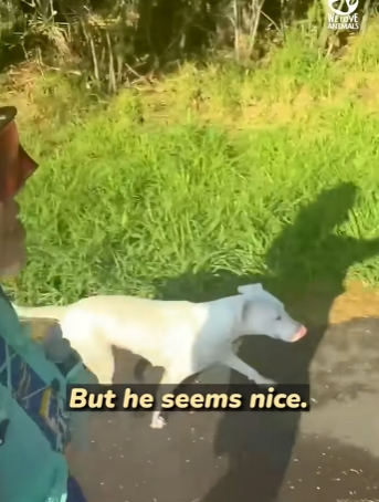 I2003003 She just wanted someone to choose her 😭❤️ (Part 2)