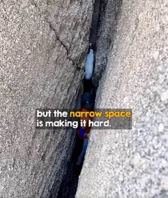 I2003008 Brave man climbs down narrow ravine after hearing cries for help (Part 2)