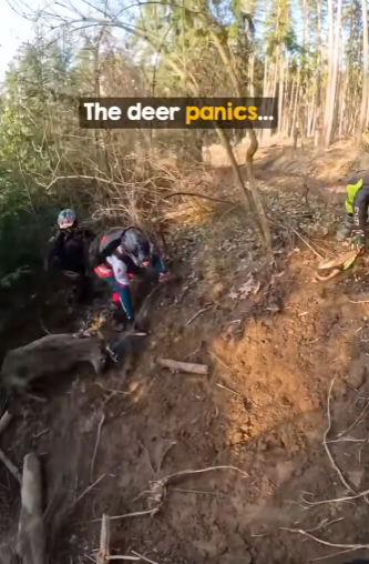 I2003001 Dirt Bikers Abandon Their Ride to Rescue a Deer (Part 2)