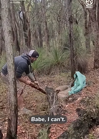 I2003010 That’s one brave rescue 😳👏 (Part 2)