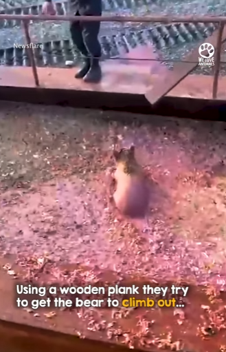 I2003005 Bravery and compassion 👏 (Part 2)