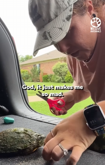 I2003007 Well done, ma’am! (Part 2)