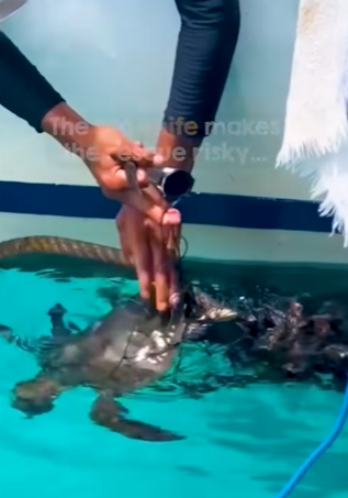 I2003004 Those tiny flaps of joy and gratitude as she’s freed 🥹 (Part 2)