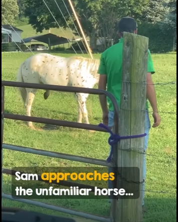 I2003006 Kindness and empathy ❤️❤️ (Part 2)