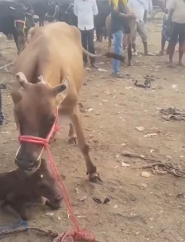 R2003007 Cuál de todas te dejó sorprendido (Part 2)