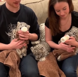 P2301004 Rescue brings light to darkness (Part 2)