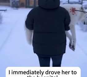 P2101001 Every life deserves a second chance (Part 2)