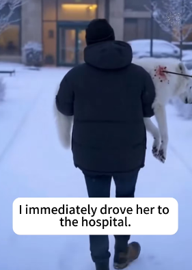 P2101001 Every life deserves a second chance (Part 2)