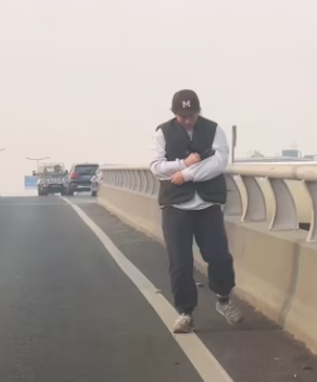 R2003003 A kitten was found on an overpass (Part 2)