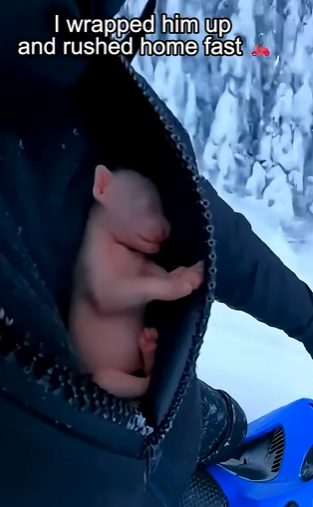 E1803010 I couldn’t leave when I saw THIS moment🥺❤️ (Part 2)