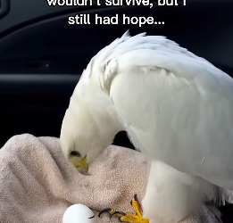 P2312005 at lost words (Part 2)