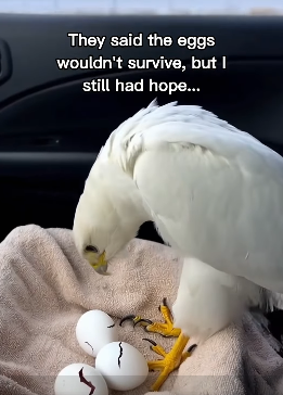 P2312005 at lost words (Part 2)