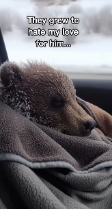 P2312004 Man had risked getting fire to make sure she was okay (Part 2)