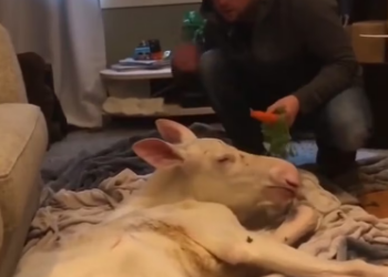 P1302005 Woman know best! (Part 2)