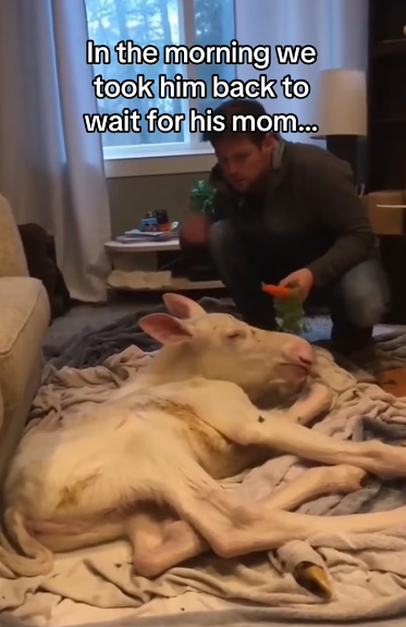 P1302005 Woman know best! (Part 2)