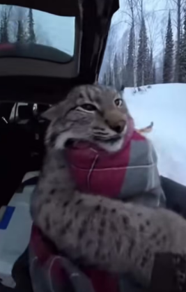 P1602014 A life for a life (Part 2)