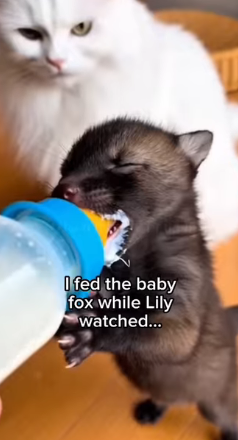 P2402010 She Left Him in the Snow… You Don’t Believe What happened Next (Parte 2)