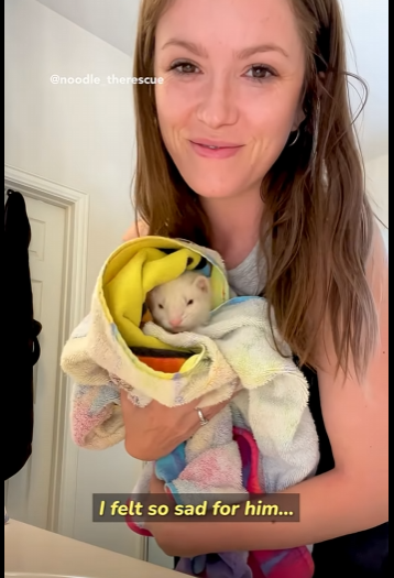 I2803004 So glad this little guy has a loving home now 🥰 (Part 2)