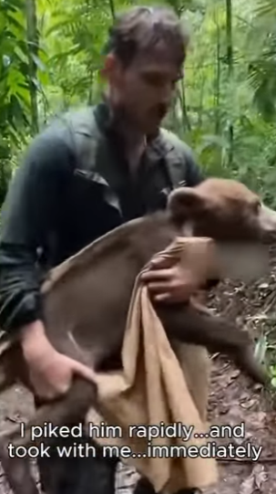 P1603003 My house was too clean anyway. (Part 2)