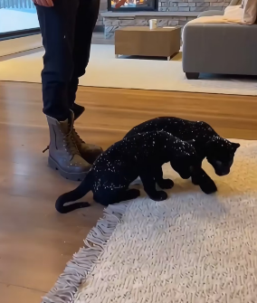 F2802011 black panther parents approached me,each carrying their cub in it (Part 2)