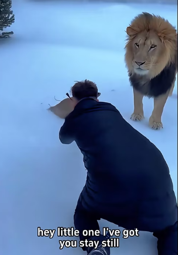 P3101010 A rescue guided by compassion (Part 2)