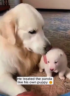 P0403006 A race against the clock. Will they make it? (Part 2)