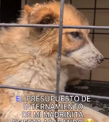 M2903005 Ayúdanos a compartir …. 🙏😭😭 (Part 2)