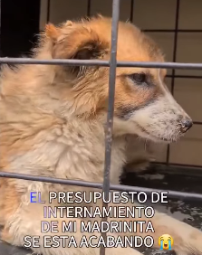 M2903005 Ayúdanos a compartir …. 🙏😭😭 (Part 2)