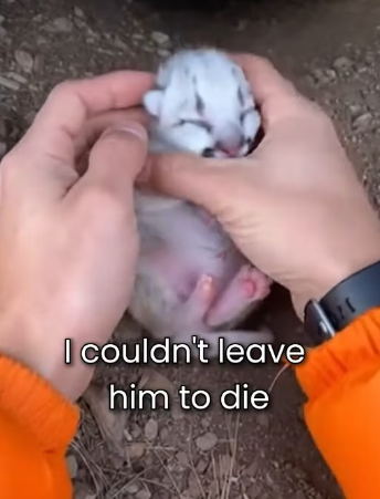 P0702004 His Mom Rejected Him Because He Was White (Part 2)