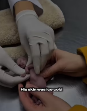 F2903005 He Was Born Hairless and His Mother Rejected Him.. Look at Him Know!! (Part 2)