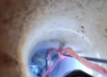 U2803001 How to get the kitten out of the deep hole (Part 2)