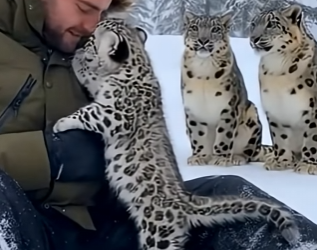 C2503002 Two Snow Leopards DRAGGED me across the ice… then I saw WHY! (Part 2)