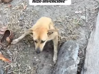 M3003003 Nací incompleto pero el amor me hizo invencible (Part 2)