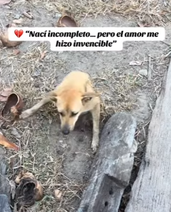 M3003003 Nací incompleto pero el amor me hizo invencible (Part 2)