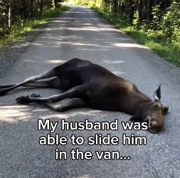 P1403007 Stay tuned for updates ❤️ (Part 2)